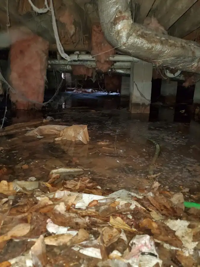 Crawl space flood assessment for Leak Detection & Repair in Gonzalez