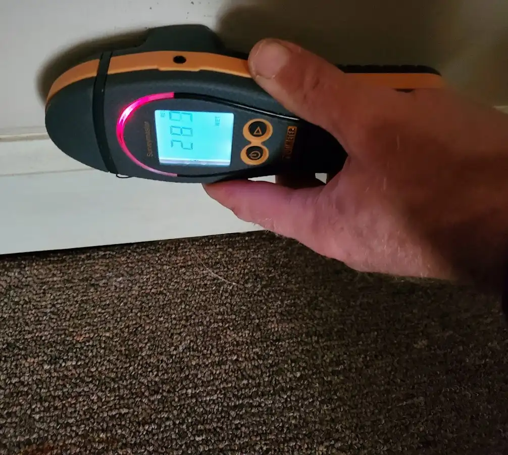 Moisture detection at baseboard during Burst Pipe Cleanup in Gonzalez
